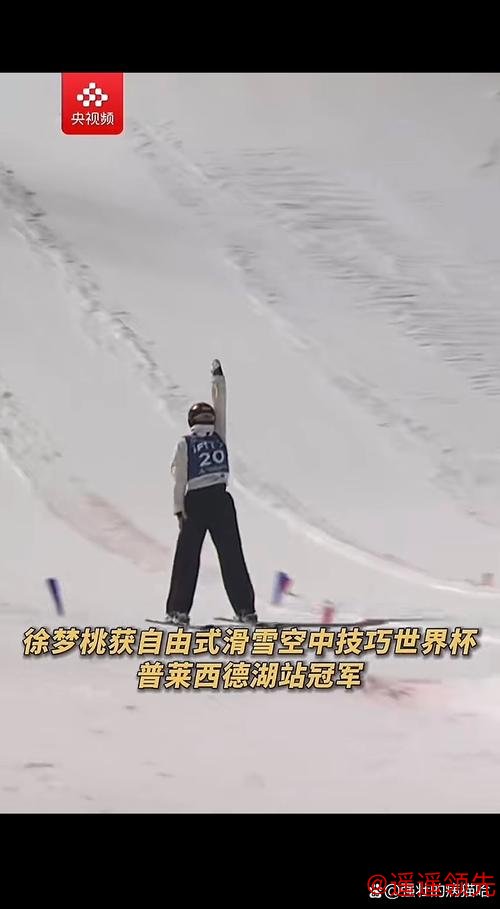 自由式滑雪空中技巧世界杯普莱西德湖站：王心迪夺冠 徐梦桃摘银